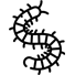 Piolho de cobra